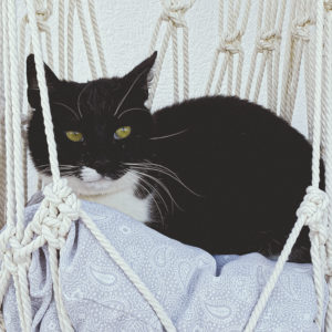 Hamaca de gato de macramé gfabicada con algodón orgánico y materiales sostenibles
